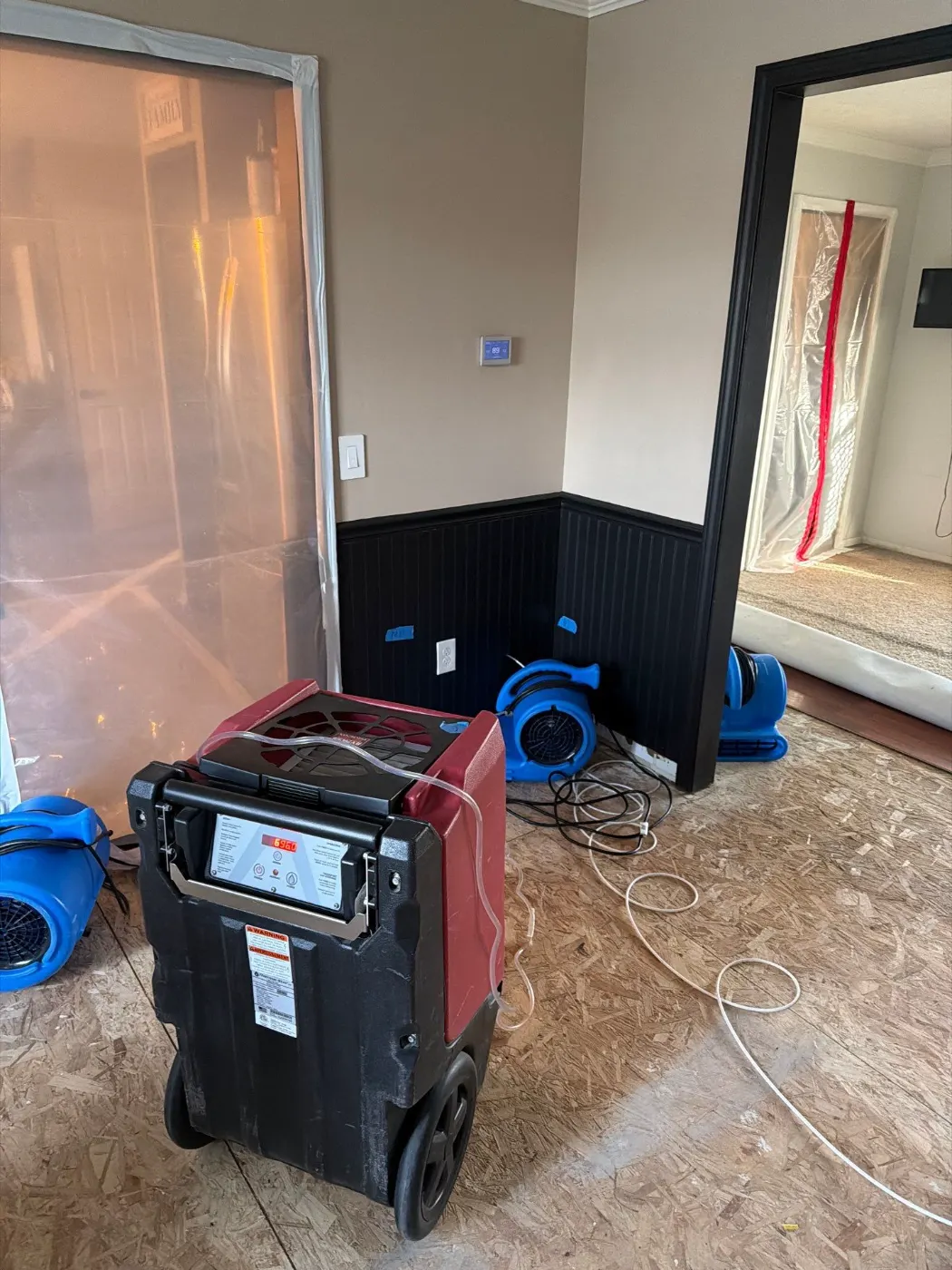 Drying setup with extraction equipment in Marion County, IN